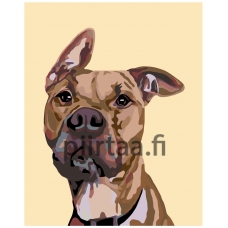 Maalaa numeroilla A243