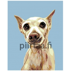 Maalaa numeroilla A244