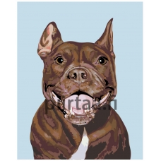 Maalaa numeroilla A247