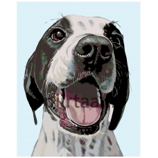 Maalaa numeroilla A248