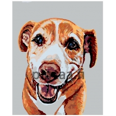 Maalaa numeroilla A249