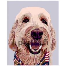 Maalaa numeroilla A253