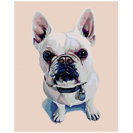 Maalaa numeroilla A258