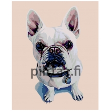 Maalaa numeroilla A258