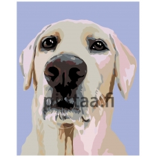 Maalaa numeroilla A259