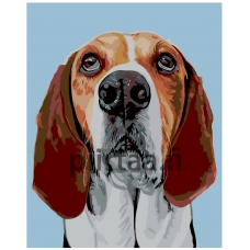 Maalaa numeroilla A260