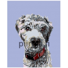 Maalaa numeroilla A263