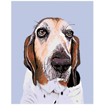 Maalaa numeroilla A264 Maalaa numeroilla A264