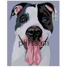 Maalaa numeroilla A269