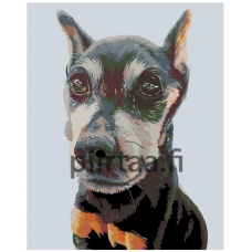 Maalaa numeroilla A270