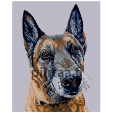 Maalaa numeroilla A275