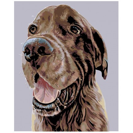 Maalaa numeroilla A276