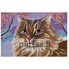 Maalaa numeroilla A278