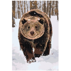 Maalaa numeroilla A282