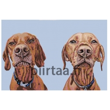 Maalaa numeroilla A303