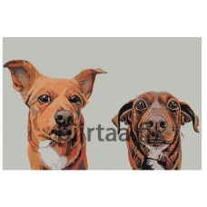 Maalaa numeroilla A304