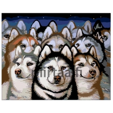 Maalaa numeroilla A306