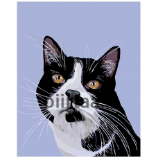 Maalaa numeroilla A310