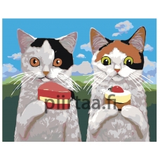 Maalaa numeroilla A320