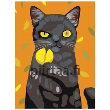 Maalaa numeroilla A332