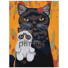 Maalaa numeroilla A351