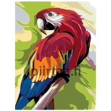 Maalaa numeroilla A353