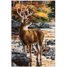 Maalaa numeroilla A356