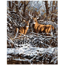 Maalaa numeroilla A357