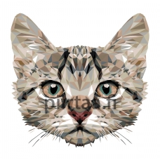 Maalaa numeroilla A368