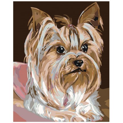 Maalaa numeroilla A372