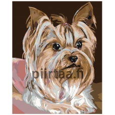 Maalaa numeroilla A372