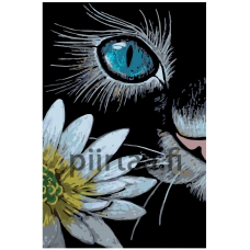 Maalaa numeroilla A379