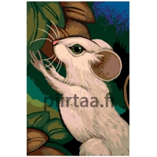 Maalaa numeroilla A381