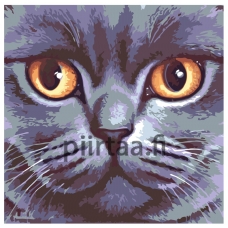 Maalaa numeroilla A383