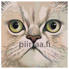 Maalaa numeroilla A385