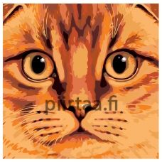 Maalaa numeroilla A386