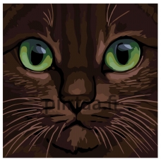 Maalaa numeroilla A387