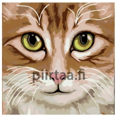 Maalaa numeroilla A396