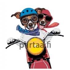 Maalaa numeroilla A401