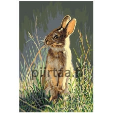 Maalaa numeroilla A404