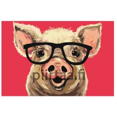 Maalaa numeroilla A406