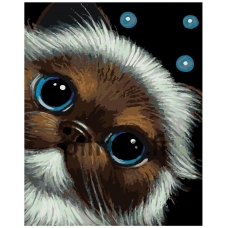 Maalaa numeroilla A413