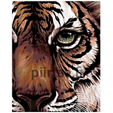 Maalaa numeroilla A415