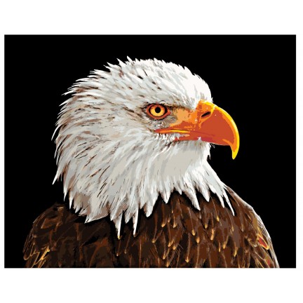 Maalaa numeroilla A420 Maalaa numeroilla A420