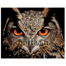 Maalaa numeroilla A422