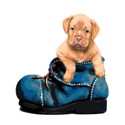 Maalaa numeroilla A423