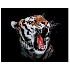 Maalaa numeroilla A424