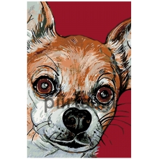 Maalaa numeroilla A428