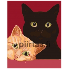 Maalaa numeroilla A451