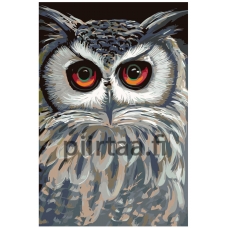 Maalaa numeroilla A453